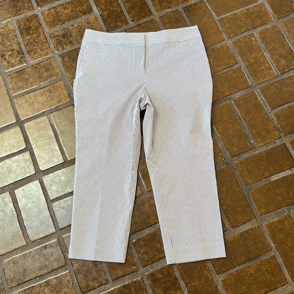 NWT Ann Taylor Factory Blue & White Striped Crop Pant
